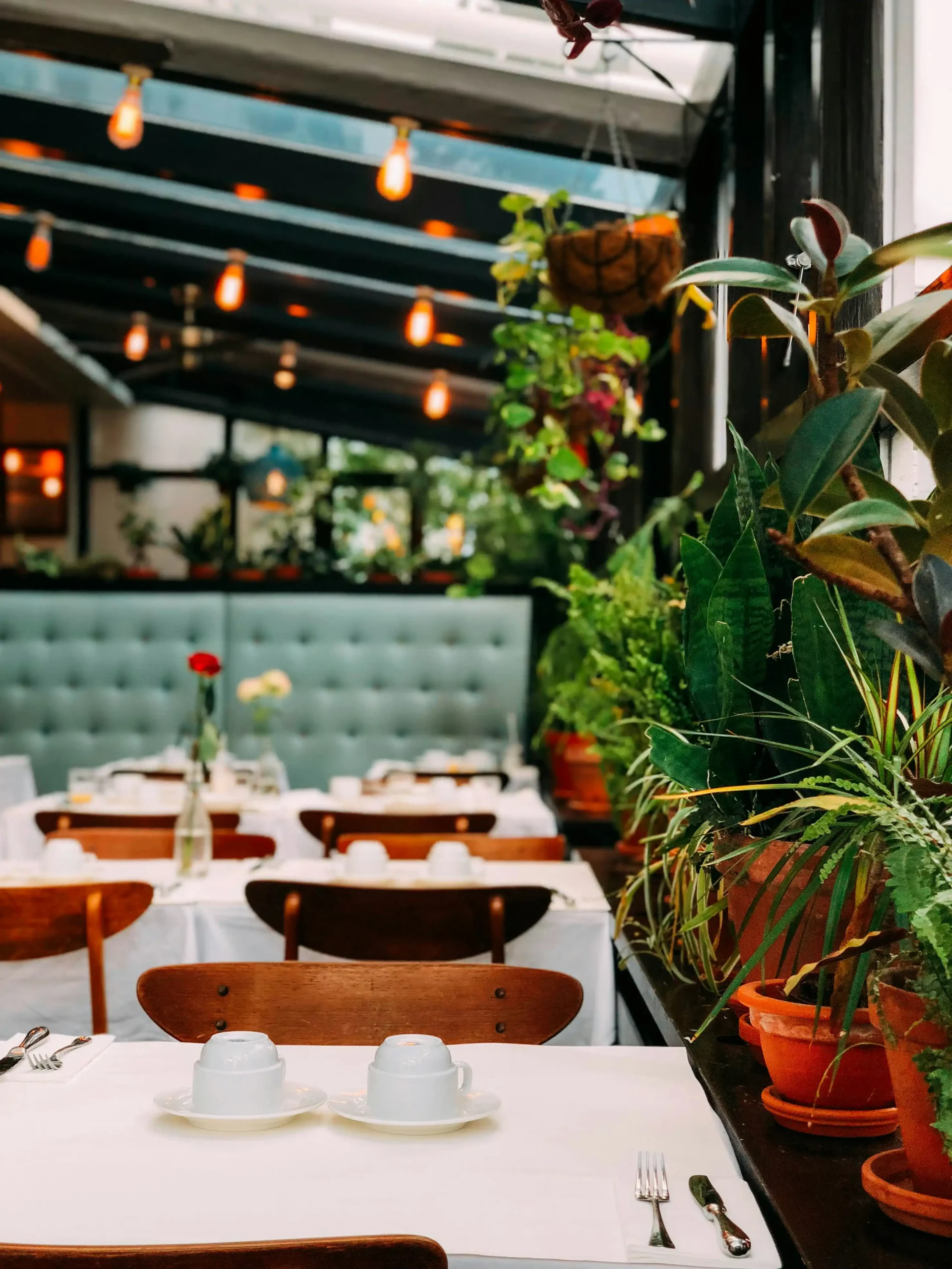 Az Eggscuse Me? Brunch & Bistro hangulatos terasza növényekkel